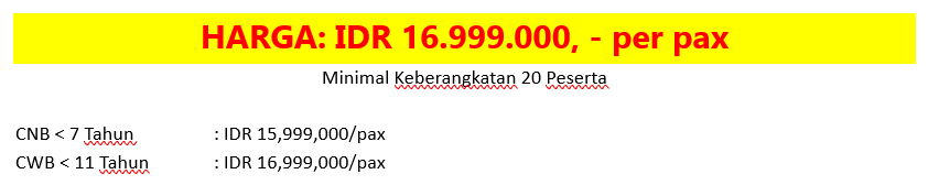 Screenshot 2025-06-18 234250